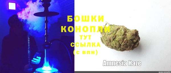 прущие крисы Белокуриха