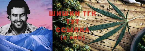 дмт Богородицк